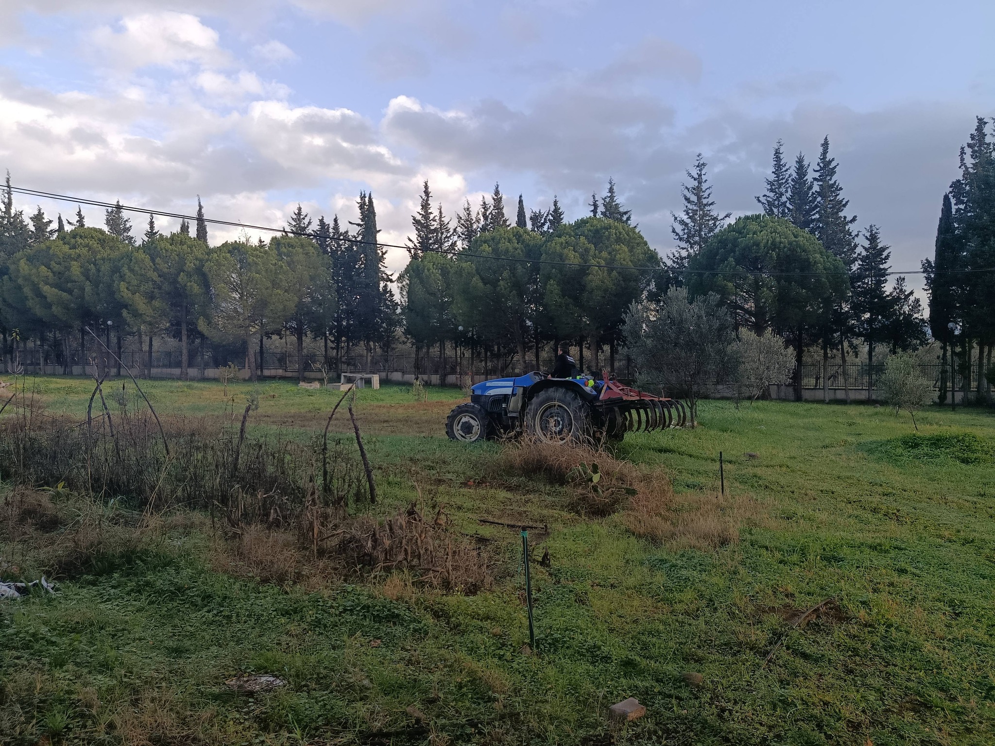 Soil Preparation Begins for the Establishment of the Lavender Garden at Our Vocational School 5