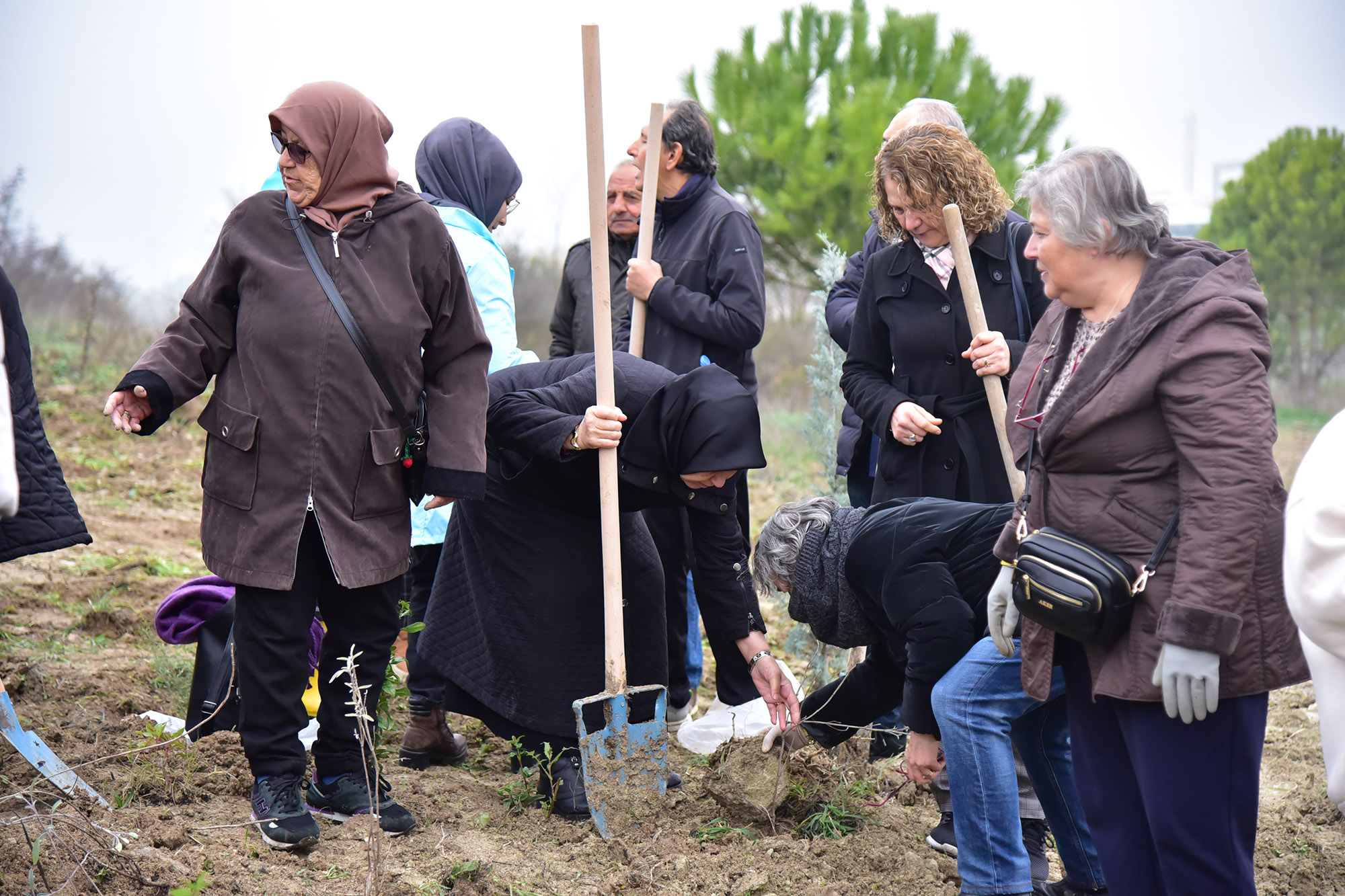 Kuşaklar Arası Yeşeren Bağlar Lavanta Dikimi Etkinliği 4