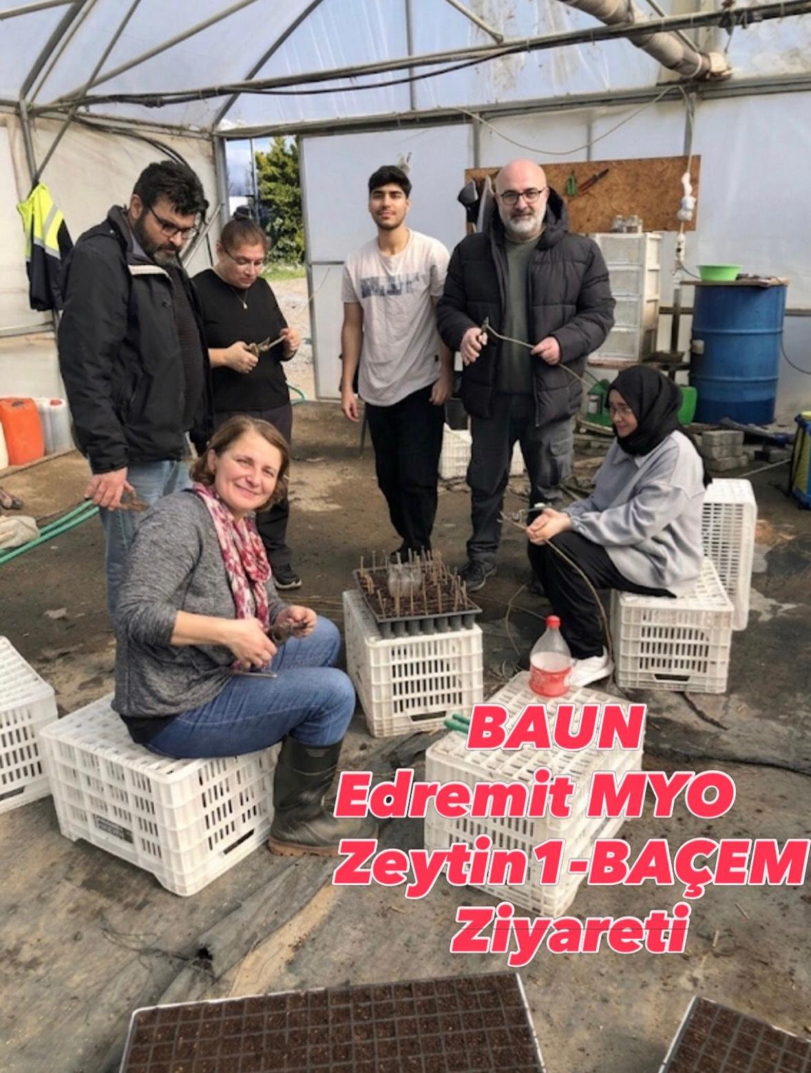Students of the Olive Cultivation and Olive Processing Technology Program visited the Balıkesir Farmer Training Center (BAÇEM) to put their theoretical knowledge into practice