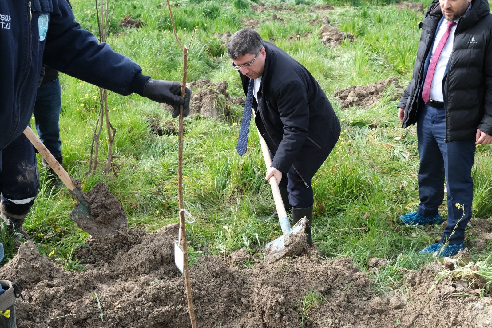 Minik Ellerden BAÜN Kampüsüne Yeşil Dokunuş: Karesi Anaokulundan Fidan Dikimi 7