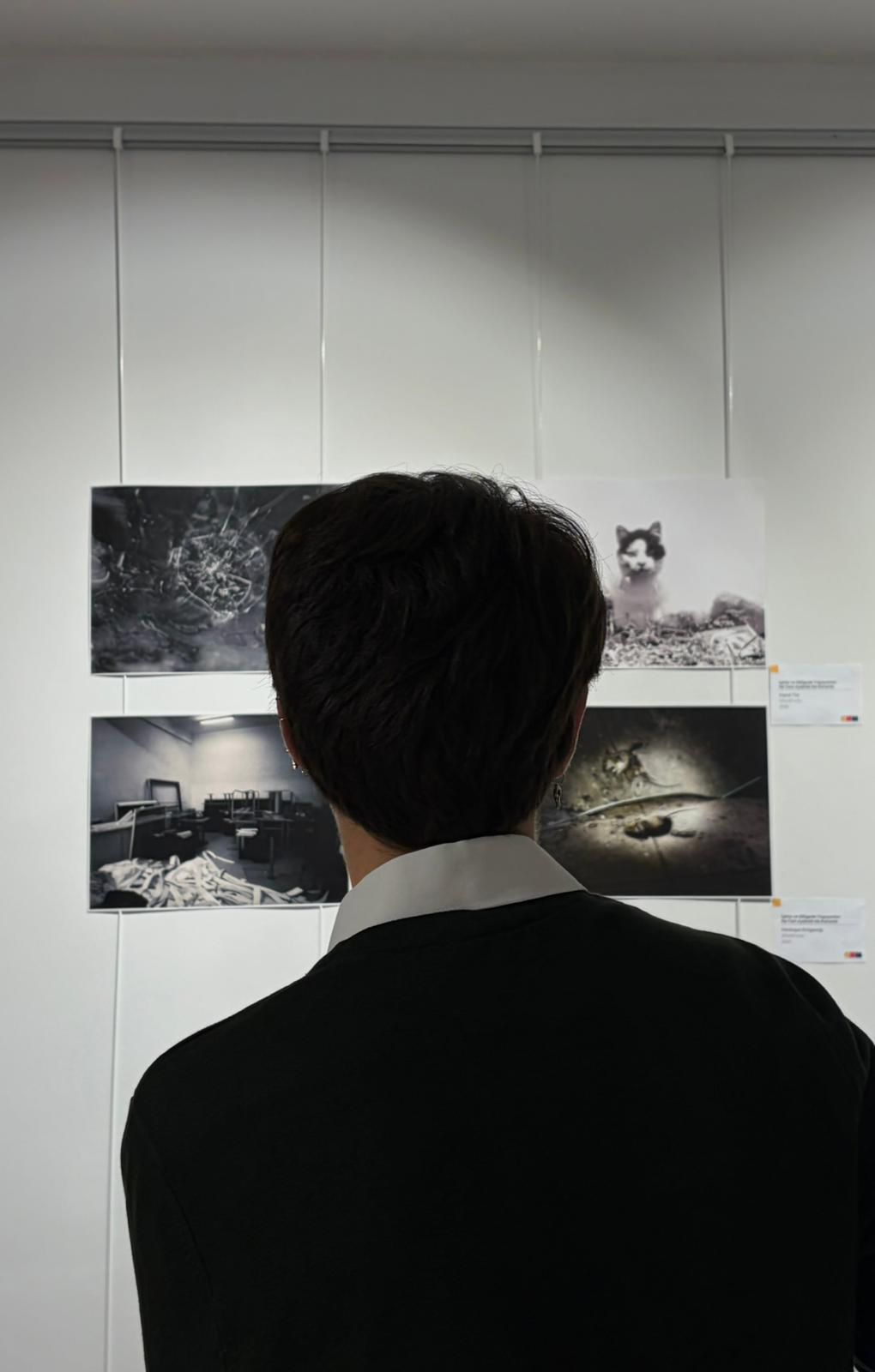 Our student was accepted into the "Youth, Art, Space" Project Exhibition. 2