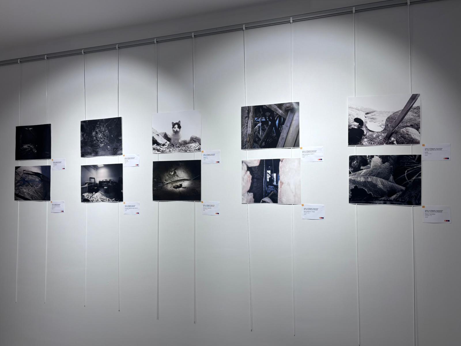 Our student was accepted into the "Youth, Art, Space" Project Exhibition. 3
