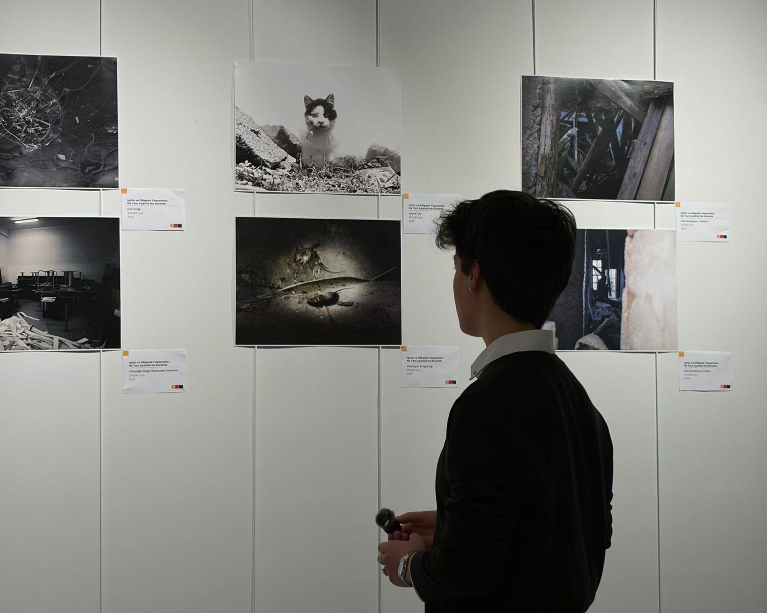 Our student was accepted into the "Youth, Art, Space" Project Exhibition. 5