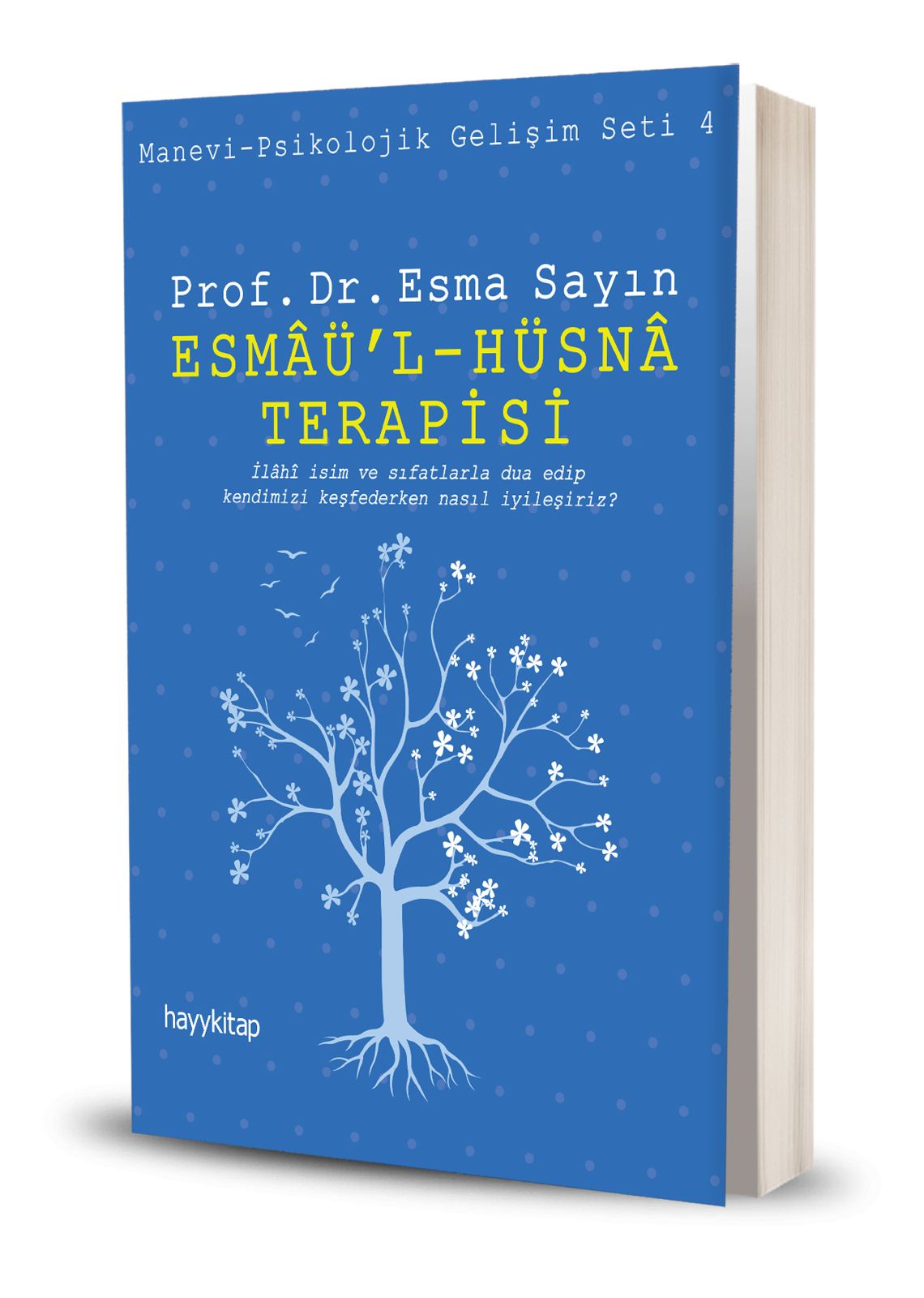 Prof.Dr. Esma Sayının yeni kitabı yayınlandı 