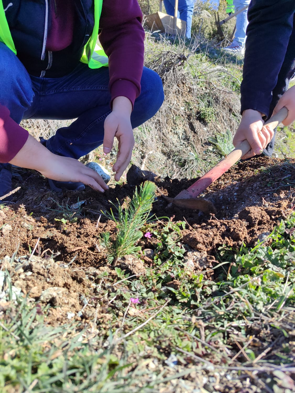 Dursunbey Orman İşletme Müdürlüğü Desteğiyle Ormancılık Bölümü Öğrencilerine Uygulamalı Eğitim 4