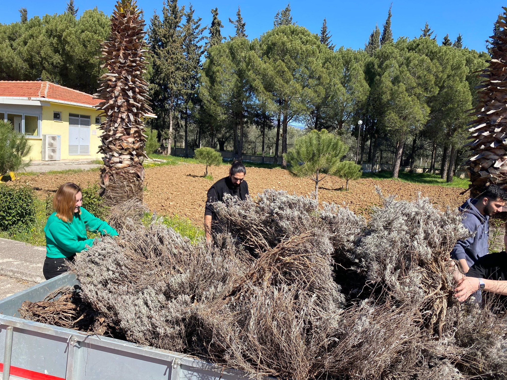Planting work for the Lavender Garden has begun at our vocational school