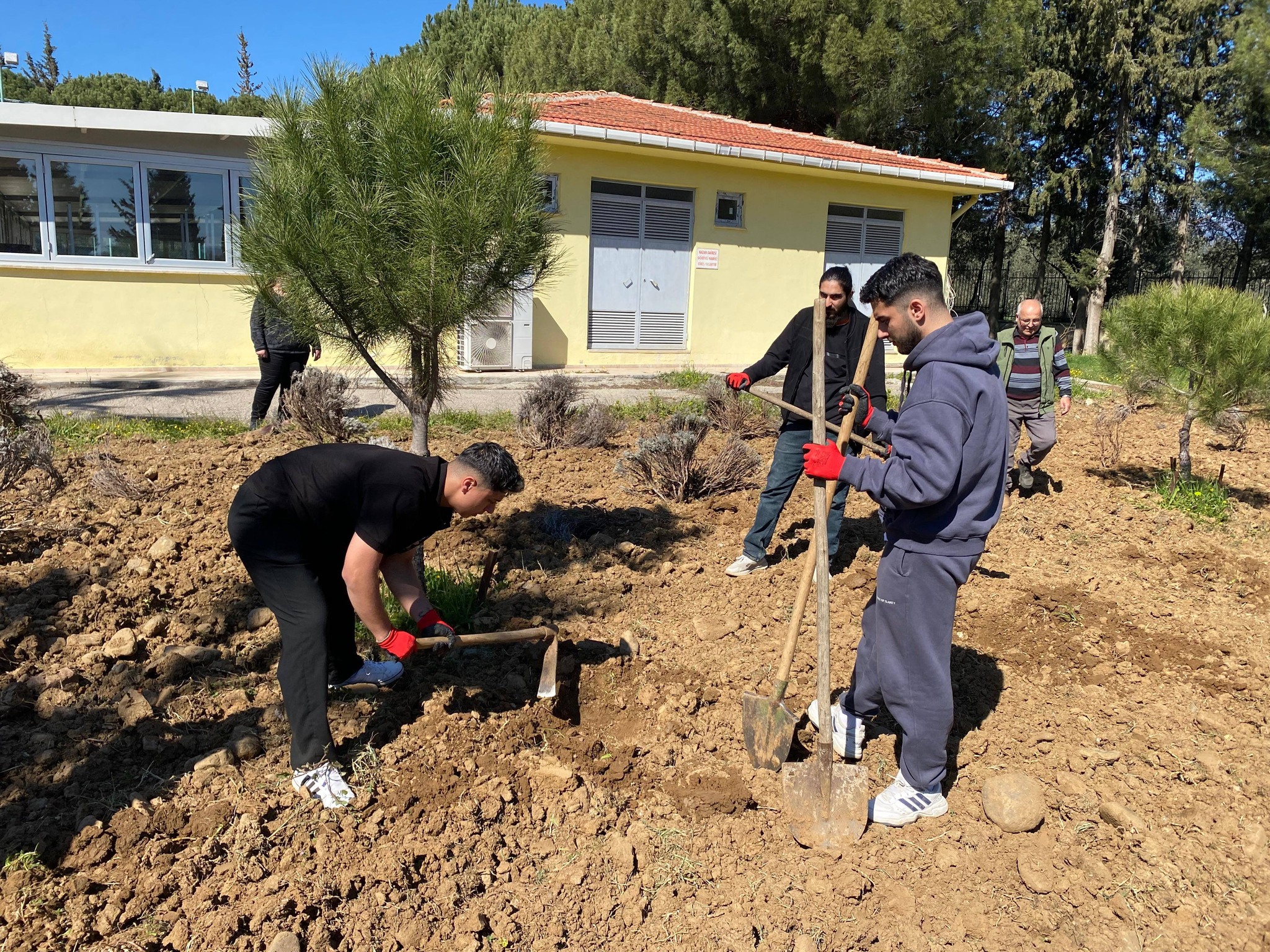 Planting work for the Lavender Garden has begun at our vocational school 3