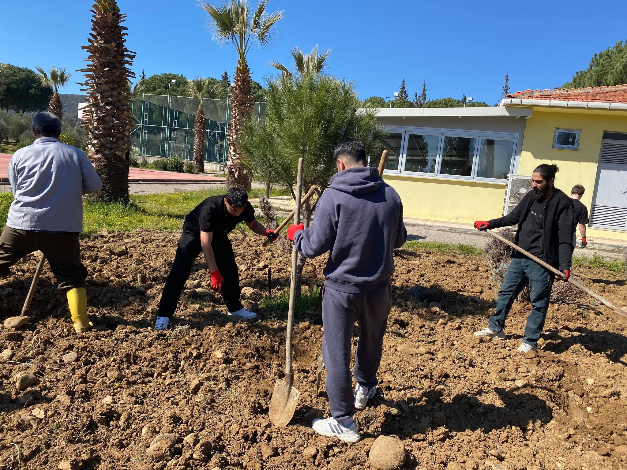 Planting work for the Lavender Garden has begun at our vocational school 4