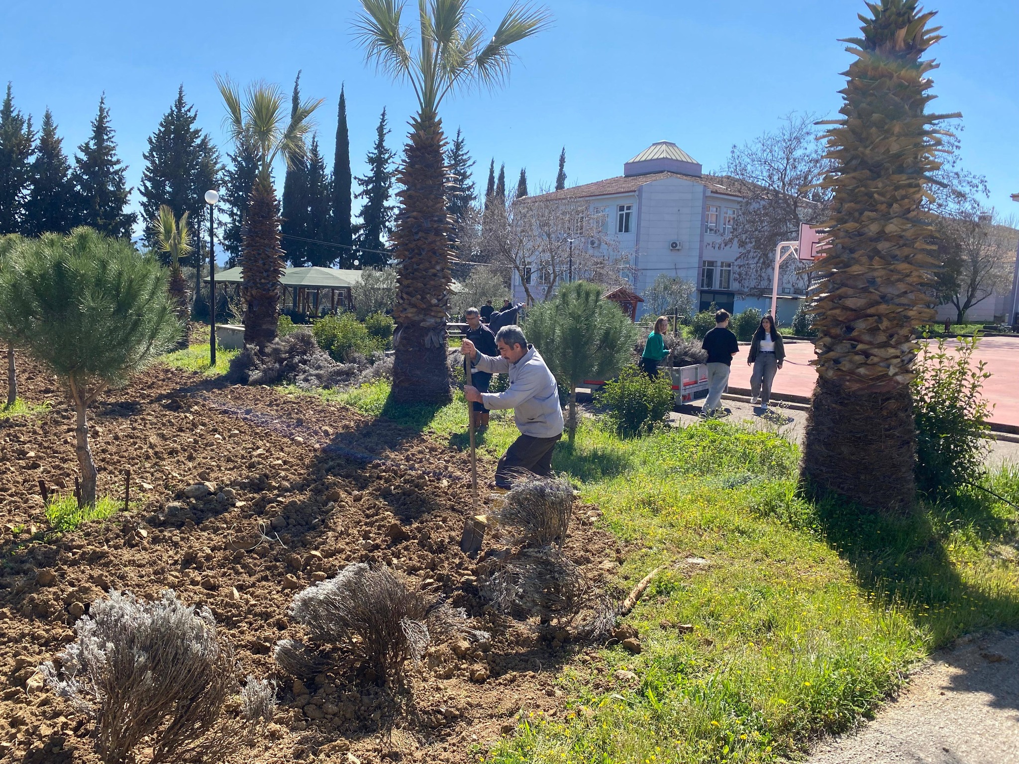 Planting work for the Lavender Garden has begun at our vocational school 5