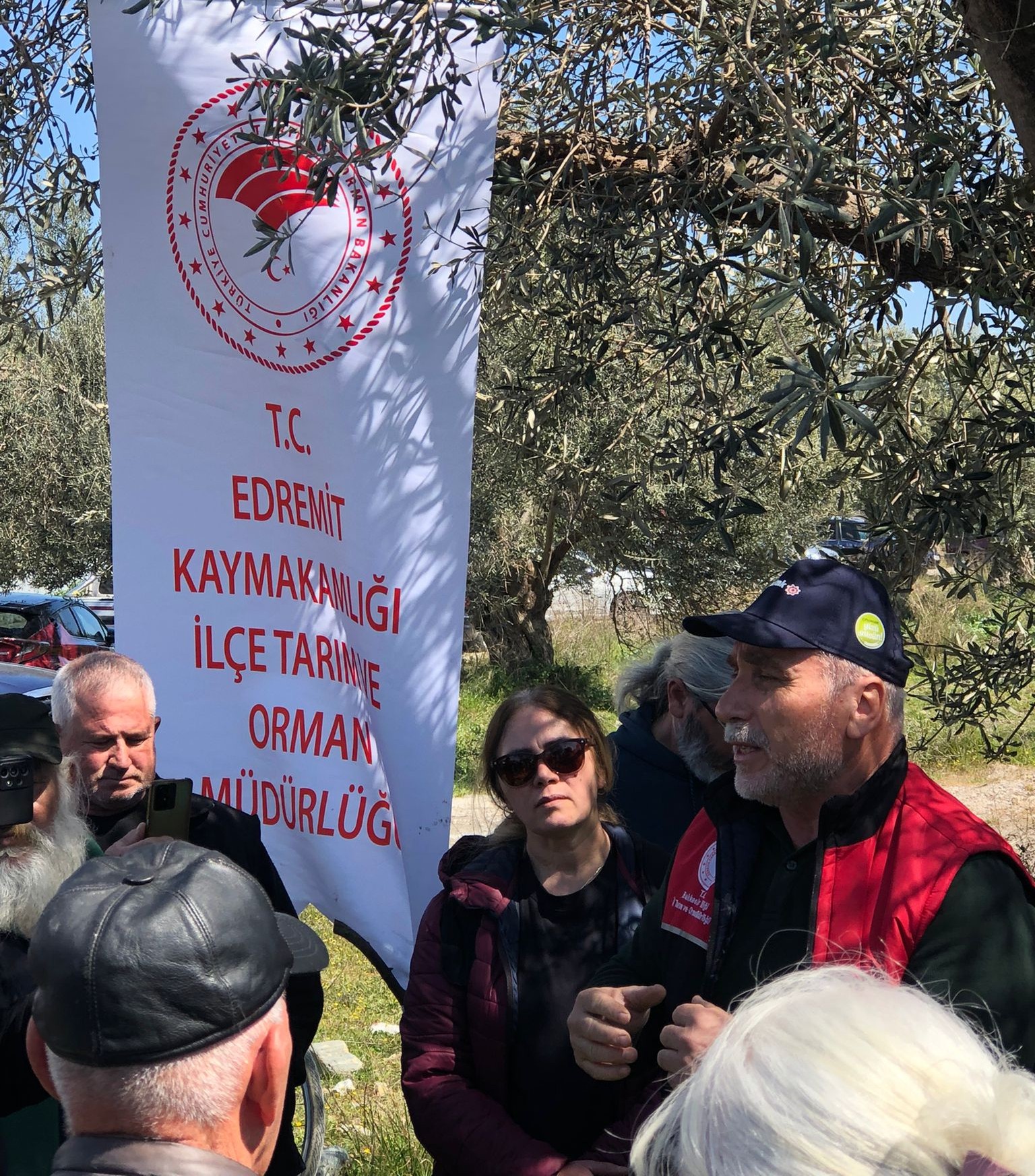 BAÜN Edremit MYO'da Uygulamalı Zeytin Eğitimi: Öğrenciler Bilgiyi Sahada Hasat Etti 3