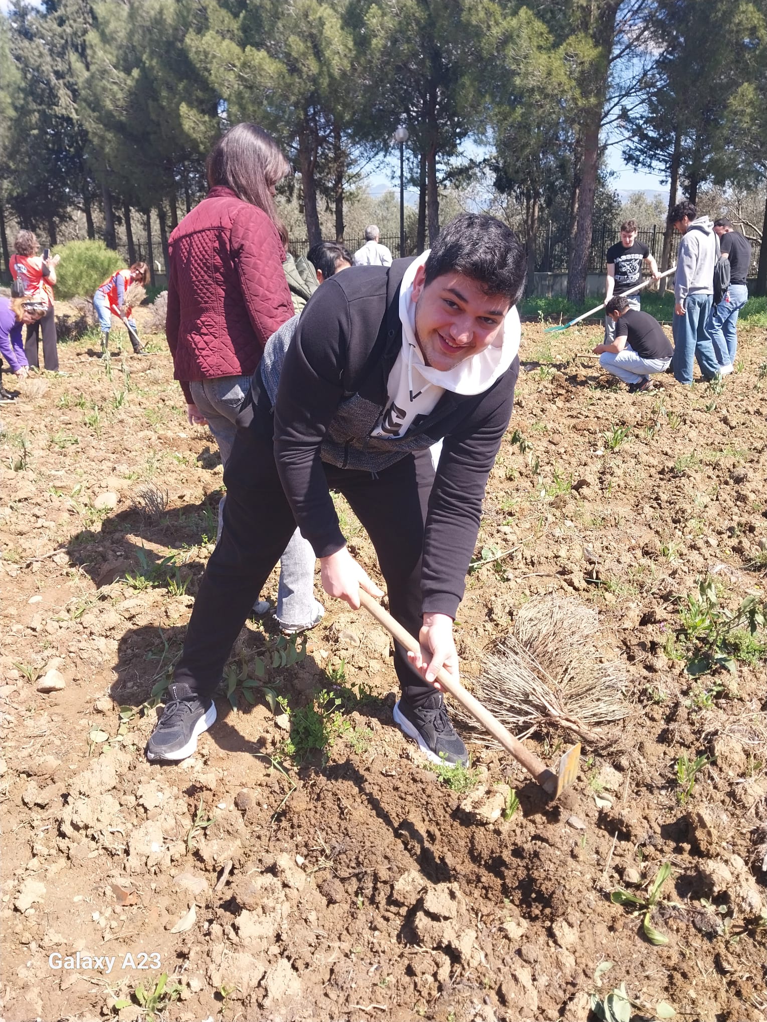 Computer Programming Students Participated in Lavender Planting Event as Part of Community Service Course 5