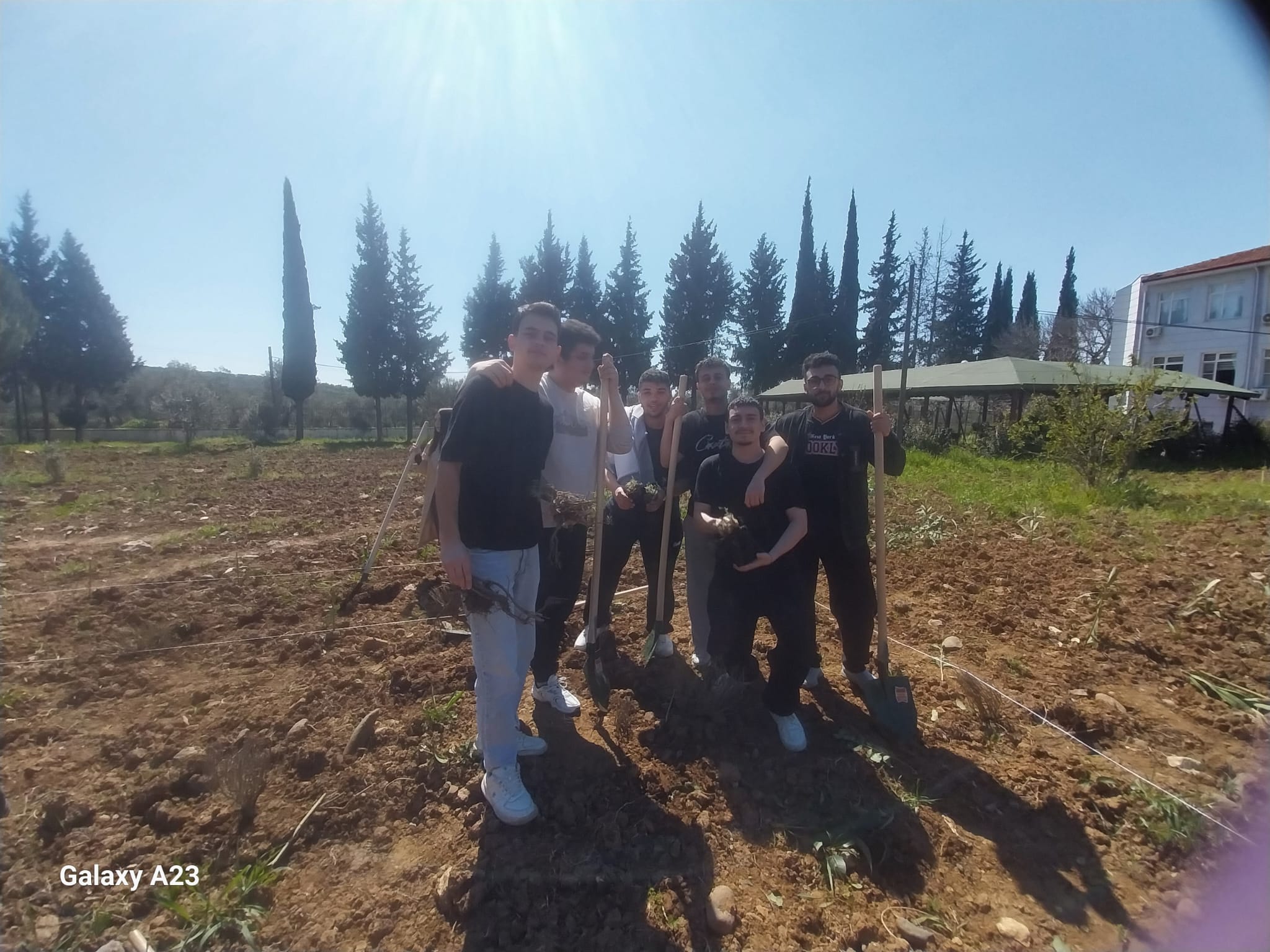 Computer Programming Students Participated in Lavender Planting Event as Part of Community Service Course 2