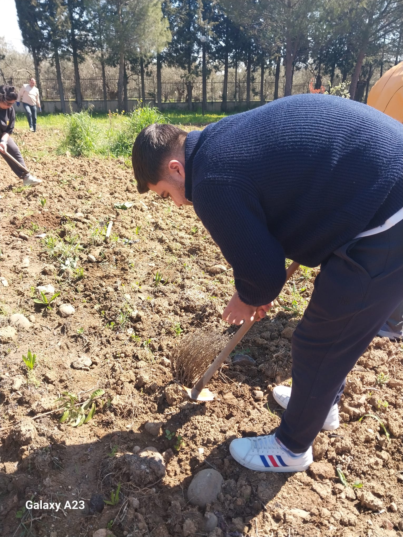 Computer Programming Students Participated in Lavender Planting Event as Part of Community Service Course 4