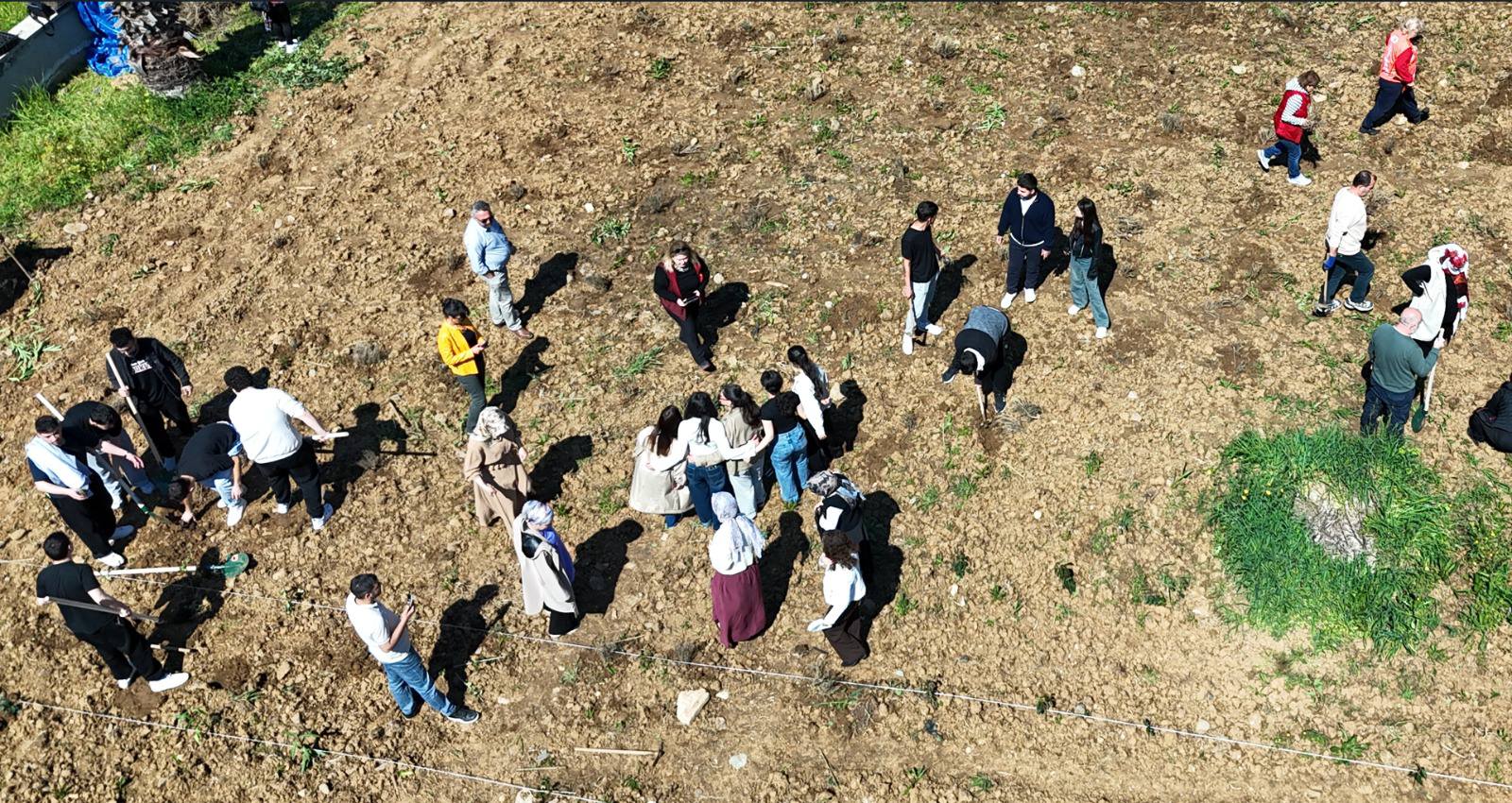Adding Value to the Soil: Our Lavenders Meet the Earth 3