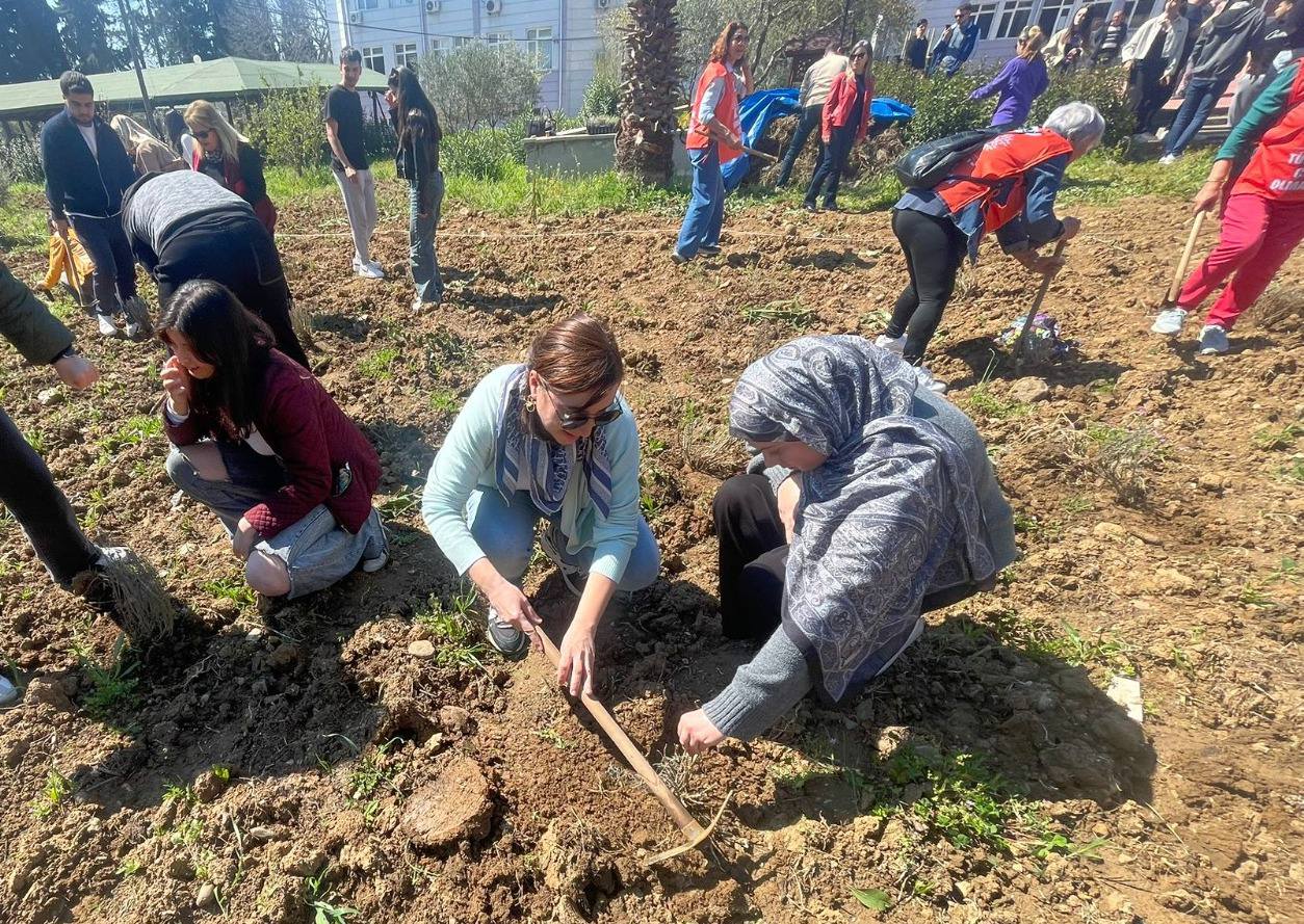 Adding Value to the Soil: Our Lavenders Meet the Earth 4