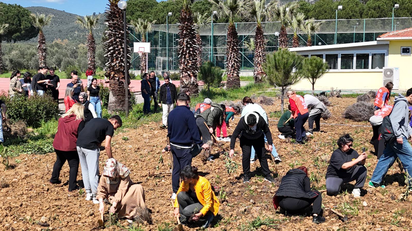 Toprağa Değer Kattık: Lavantalarımızı Toprakla Buluşturduk 5