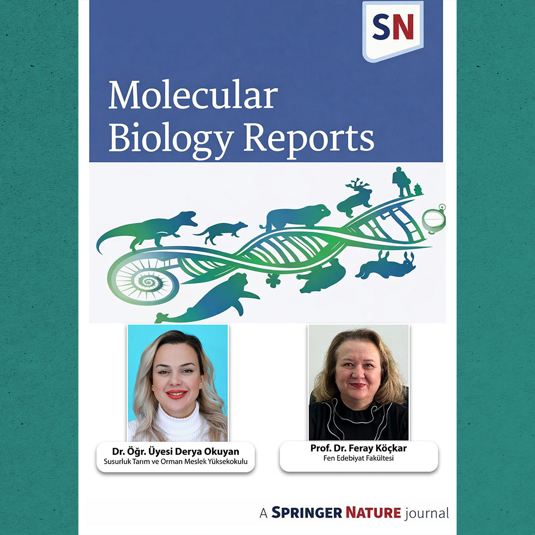 A Significant Contribution to Cancer Research by BAÜN Academics: The Regulation of a Critical Gene Revealed for the First Time