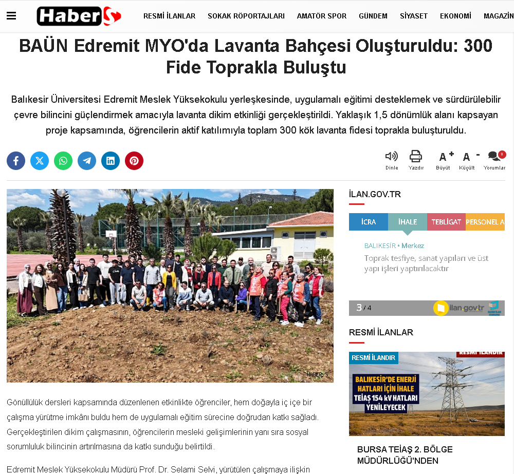 BAÜN Edremit MYO'da Lavanta Bahçesi Oluşturuldu: 300 Fide Toprakla Buluştu