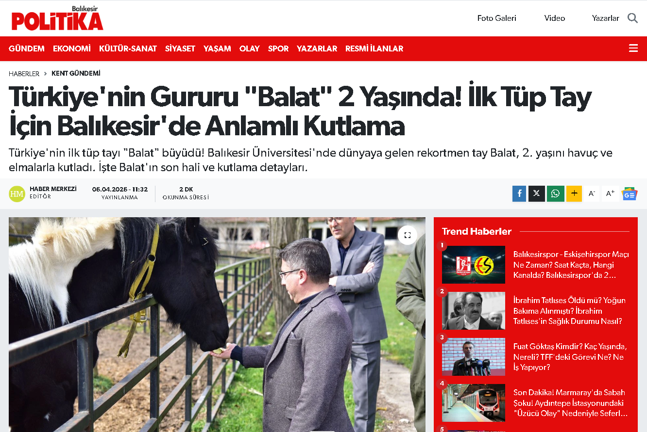 Türkiye'nin Gururu "Balat" 2 Yaşında! İlk Tüp Tay İçin Balıkesir'de Anlamlı Kutlama