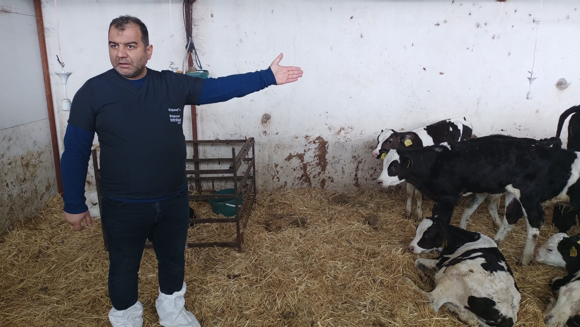 On-site Assessment Visit to a Cattle Farm by Our Faculty 3