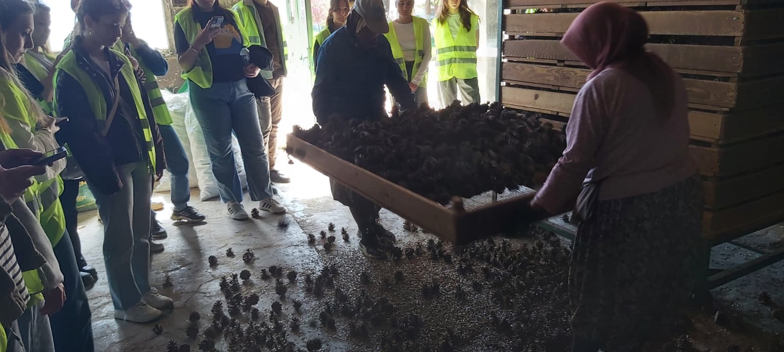 Tohumdan Fidana Uzanan Yolculuk: Dursunbey MYO Öğrencileri Üretim Süreçlerini Sahada İnceledi 3