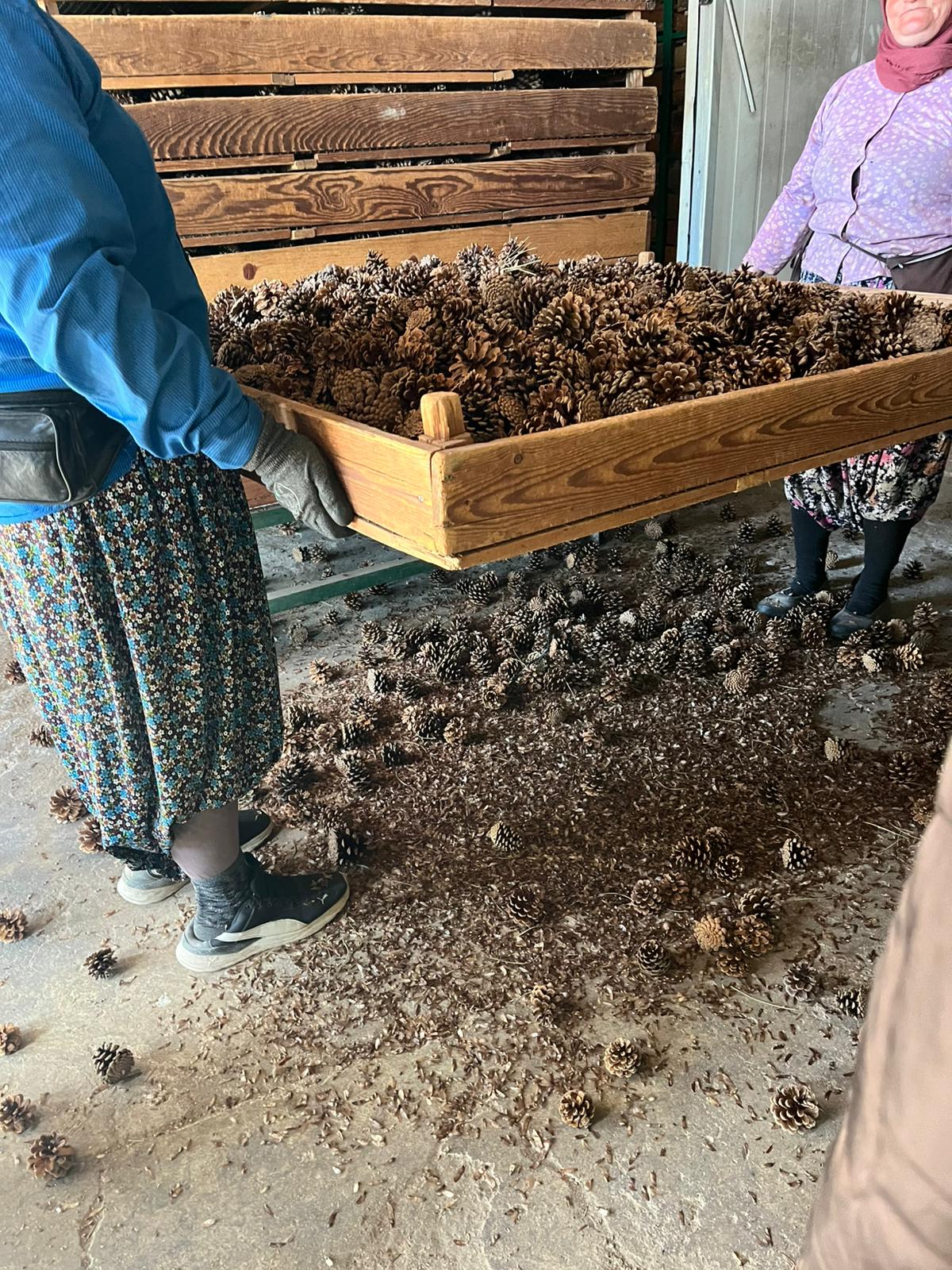 Tohumdan Fidana Uzanan Yolculuk: Dursunbey MYO Öğrencileri Üretim Süreçlerini Sahada İnceledi 8