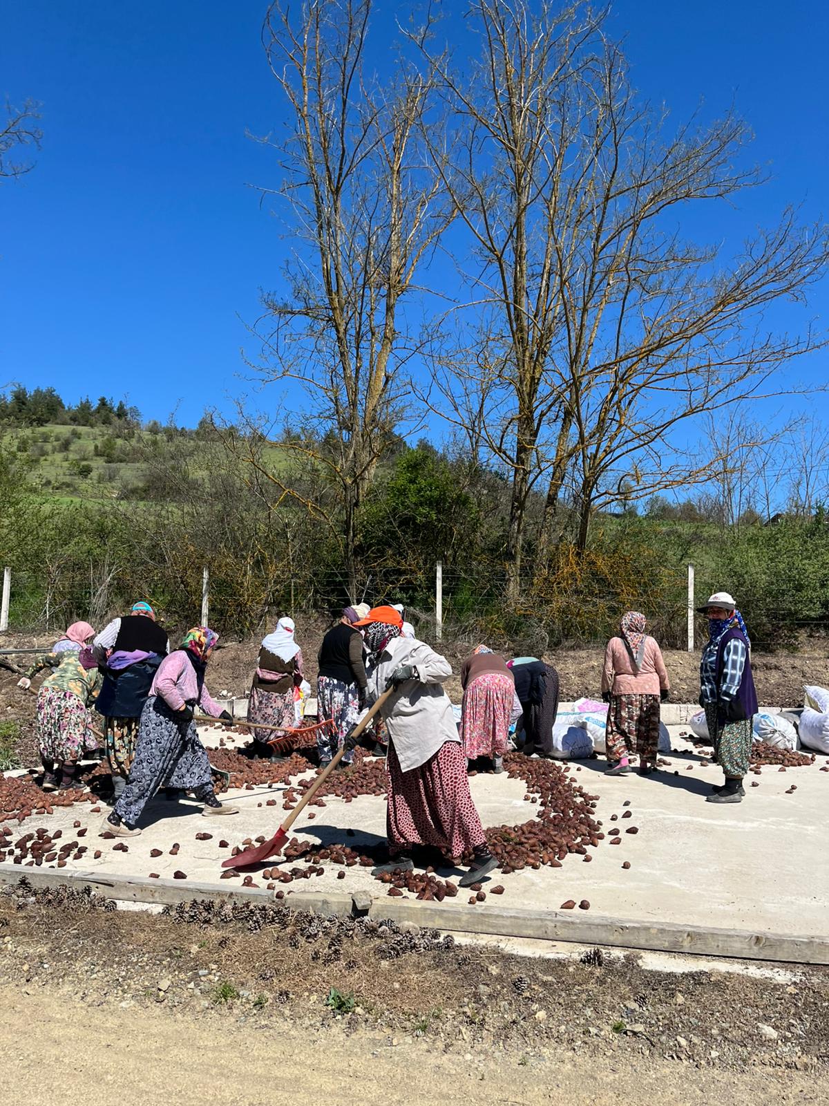 Tohumdan Fidana Uzanan Yolculuk: Dursunbey MYO Öğrencileri Üretim Süreçlerini Sahada İnceledi 10