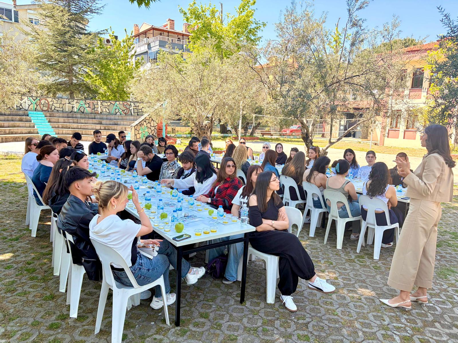 Zeytinyağı Tadımı ve Tadım Metodu 7
