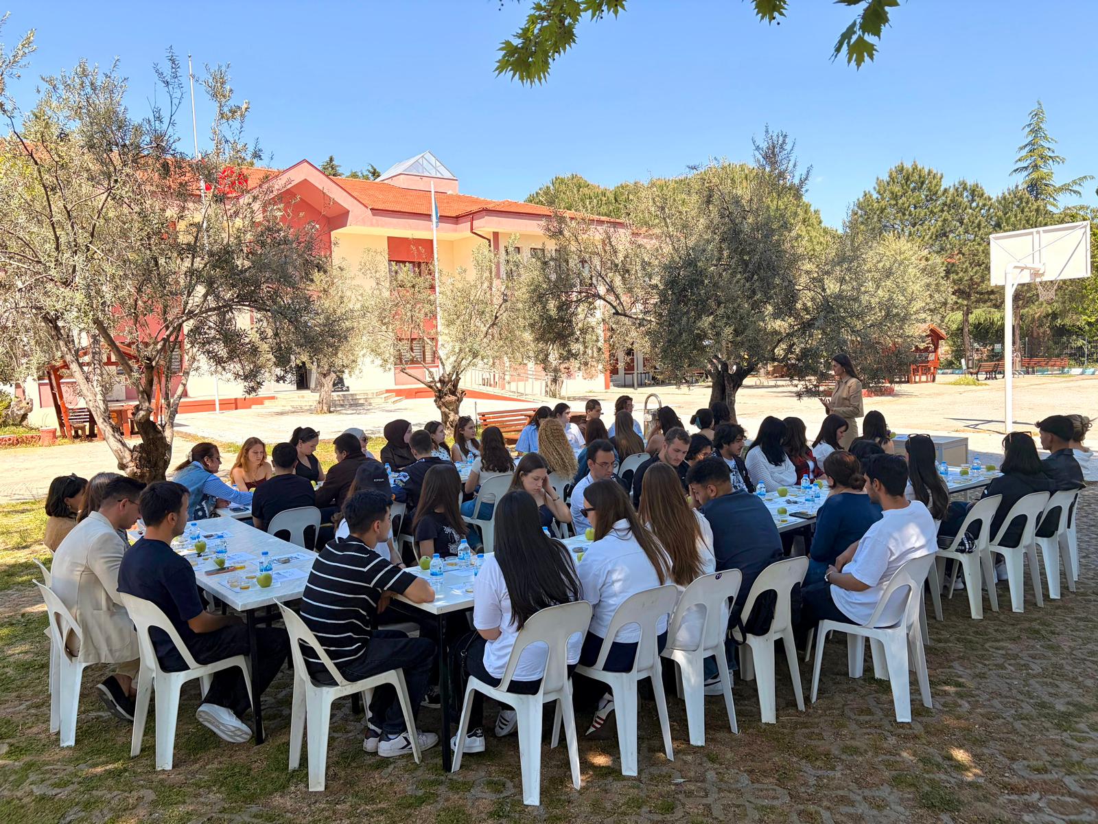 Zeytinyağı Tadımı ve Tadım Metodu 3