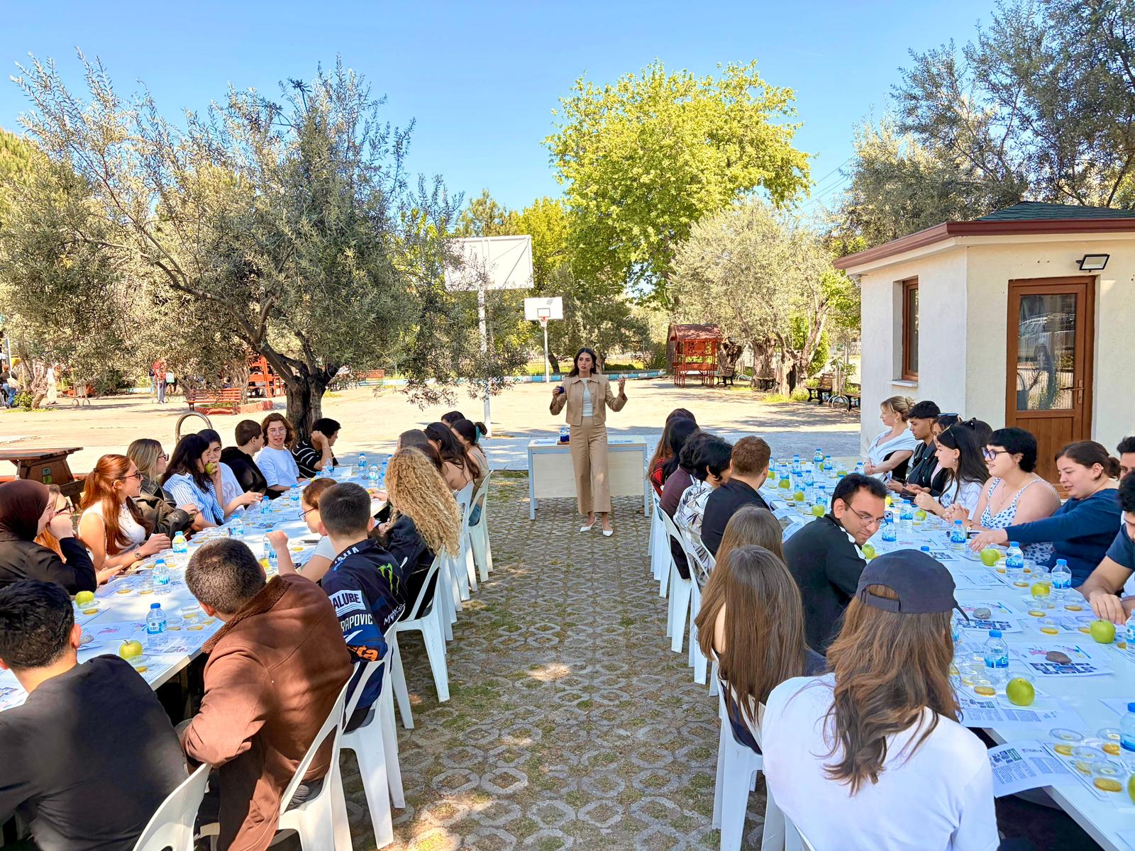 Zeytinyağı Tadımı ve Tadım Metodu 4