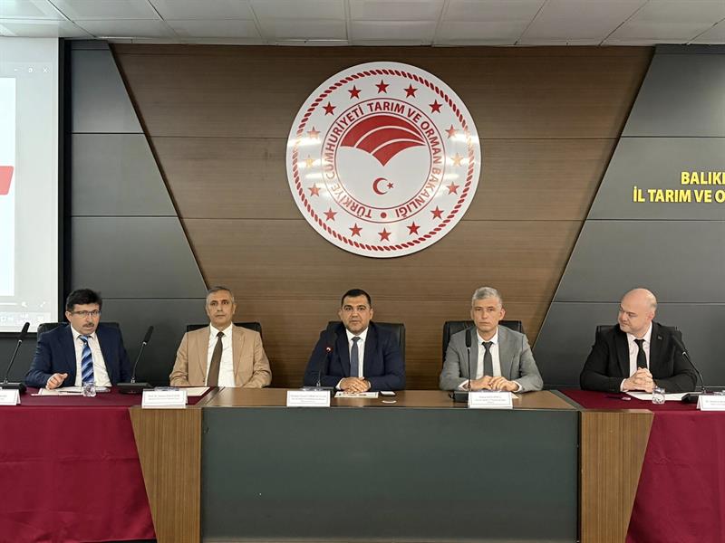 Güvenli Kurban, Bilinçli Toplum 6
