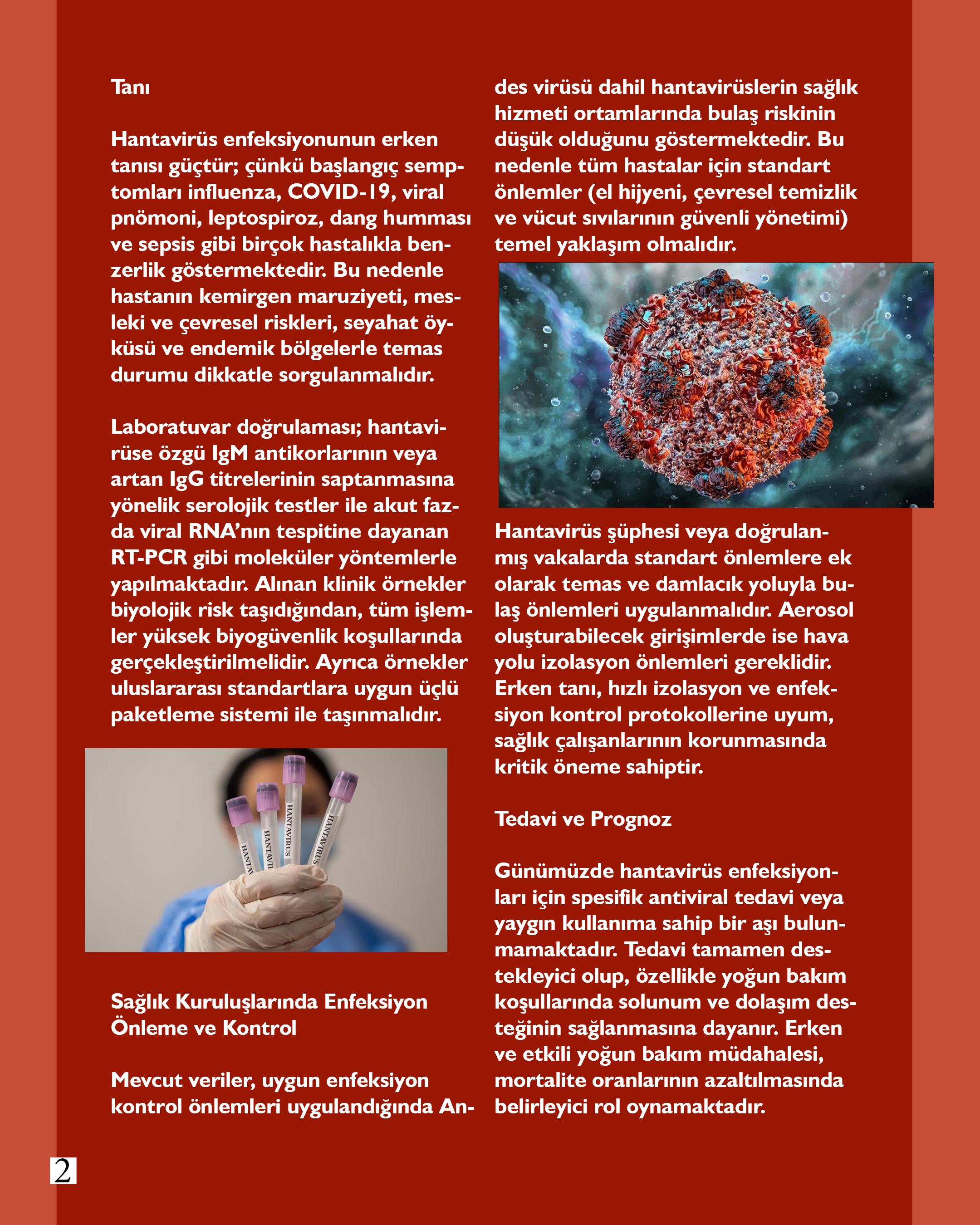 Akademisyenlerimizden; "Hantavirüsler: Zoonotik Bir Halk Sağlığı Tehdidinin Güncel Değerlendirilmesi" Prof. Dr. Tülin AKARSU AYAZOĞLU Balıkesir Üniversitesi Tıp Fakültesi Yoğun Bakım Bilim Dalı Başkanı  3