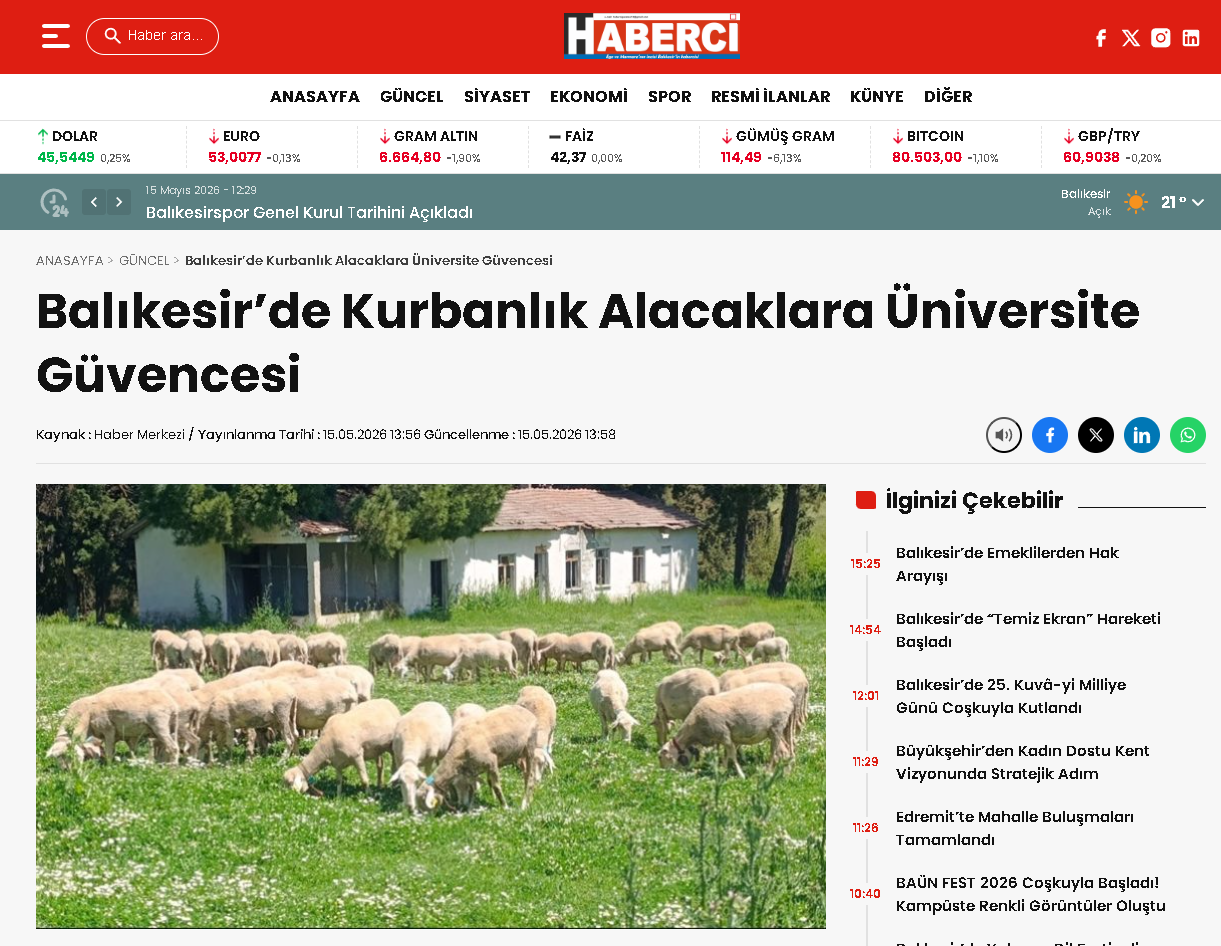 Balıkesir'de Kurbanlık Alacaklara Üniversite Güvencesi