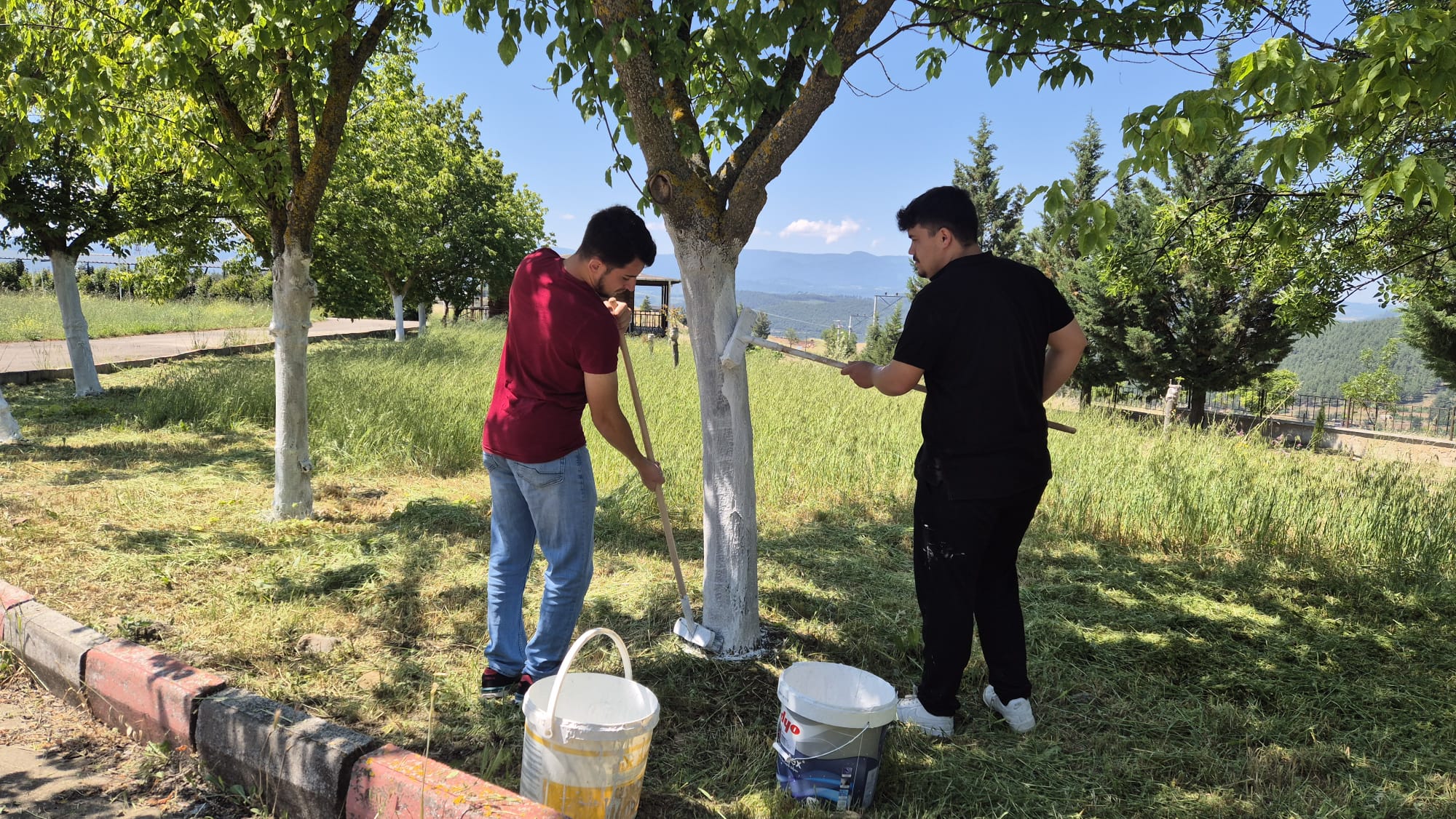 Geleceğin Ormancıları Okulumuzda Pratik Yaptı: Dursunbey MYO'da Bahçe Bakımı 5