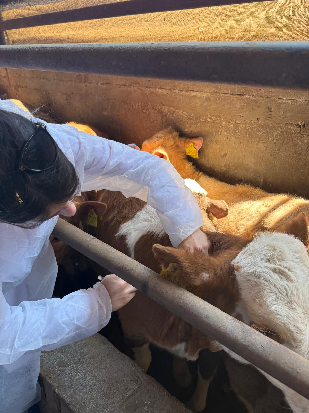 Veterinerlik Bölümümüzden Köse Et Kombinasına Teknik Gezi 3
