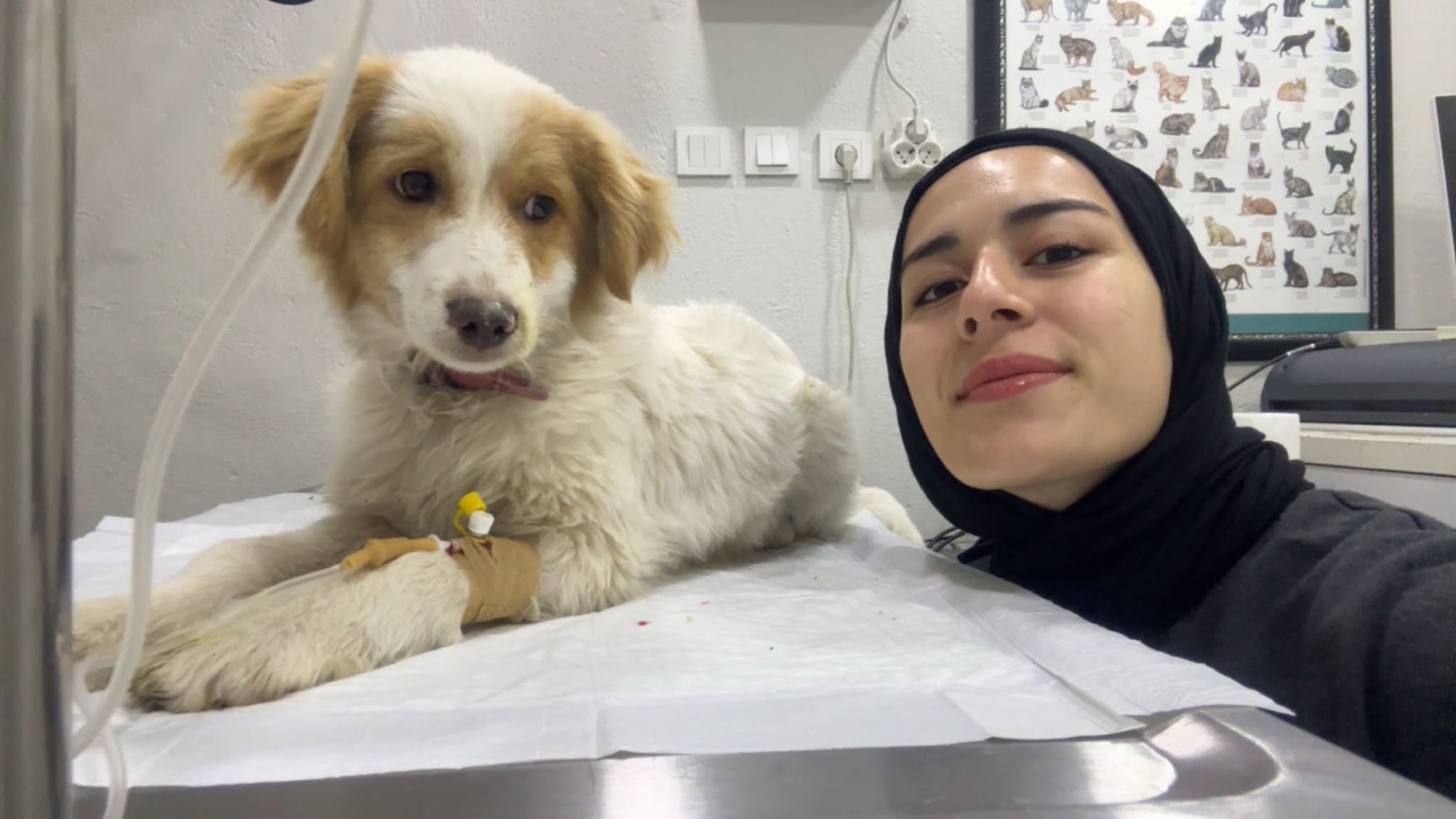 Susurluk Tarım ve Orman Meslek Yüksekokulu Laborant ve Veteriner Sağlık Programı Öğrencileri İşletmede Mesleki Eğitimlerini Başarıyla Tamamladı