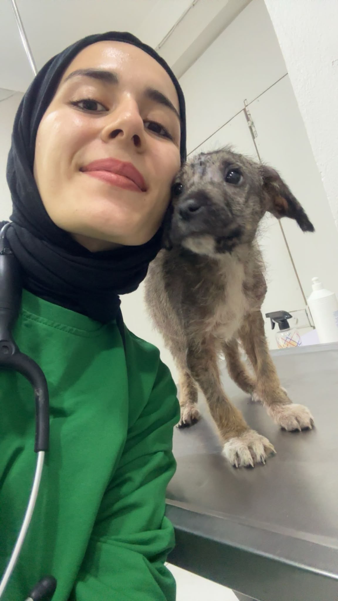 Susurluk Tarım ve Orman Meslek Yüksekokulu Laborant ve Veteriner Sağlık Programı Öğrencileri İşletmede Mesleki Eğitimlerini Başarıyla Tamamladı 5