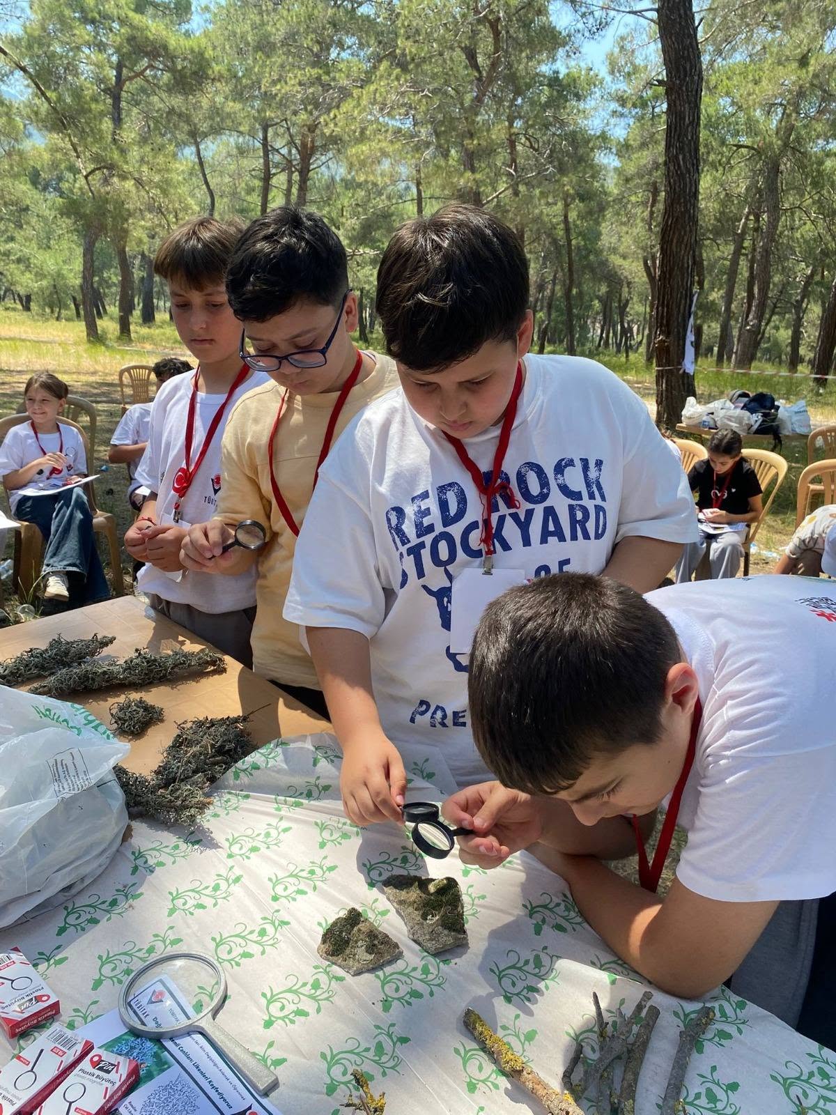 Scientific Support for Secondary School Students from Edremit Vocational School in the TÜBİTAK 4004 Project 2