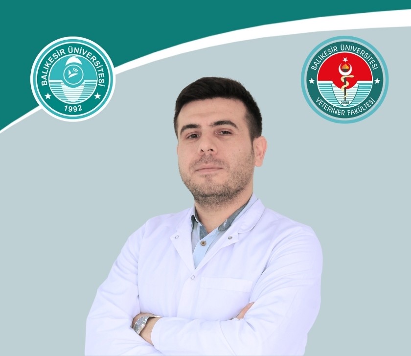 Academic Achievement: Dr Mehmet ÖZÜİÇLİ, Assistant Professor, Has Been Promoted to Associate Professor