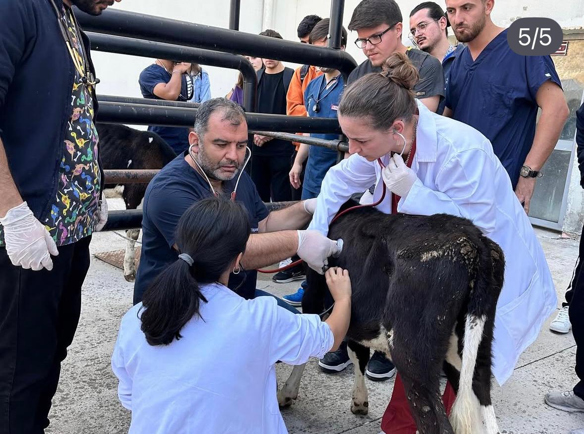 BAÜN Veteriner Fakültesi ve Hayvan Hastanesi Bölgenin Şifa Merkezi Oldu: 15 İlden Her Türlü Canlıya Tedavi 4