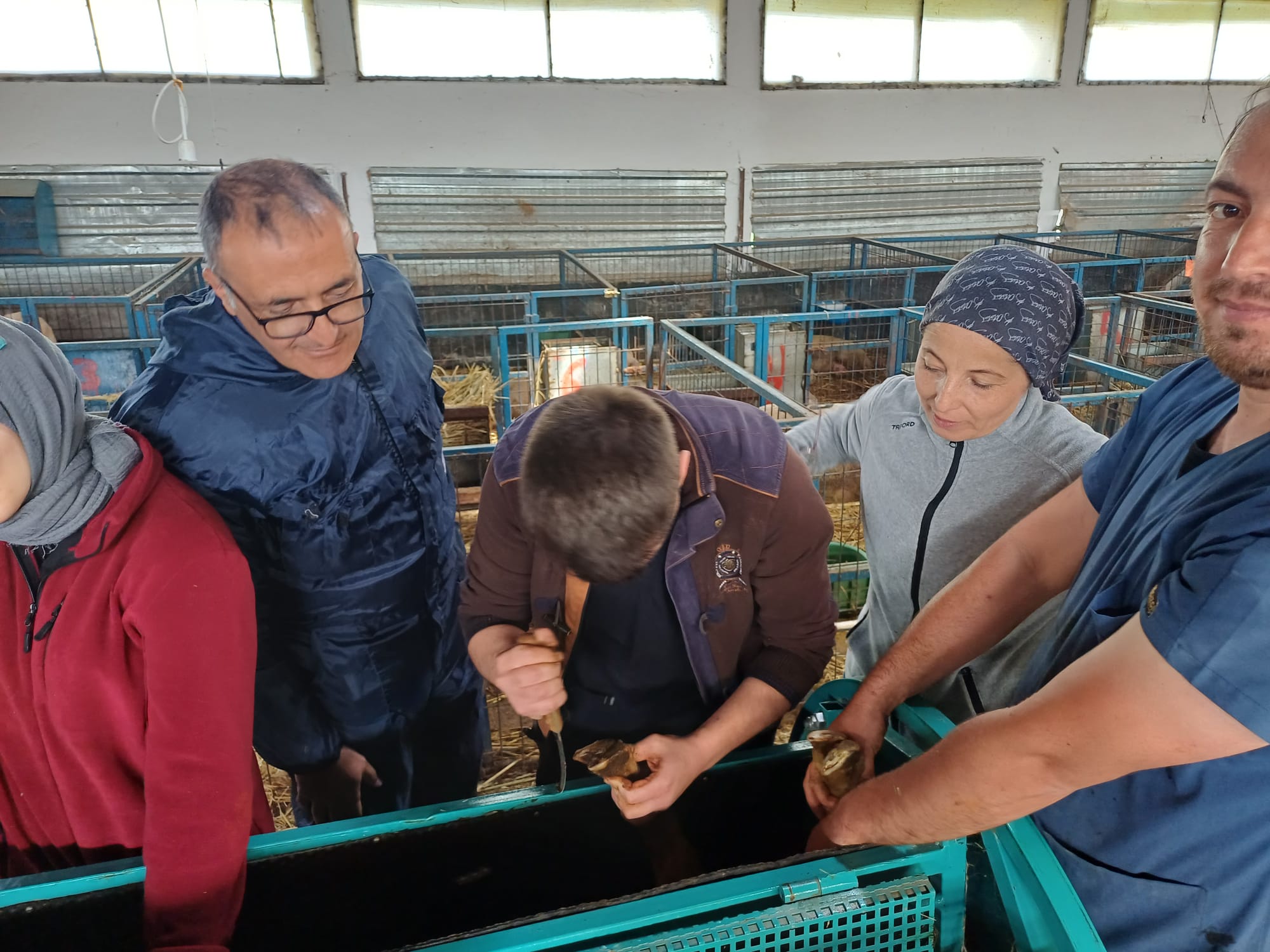 BAÜN Veterinary Faculty and Animal Hospital Is A Healing Center 8