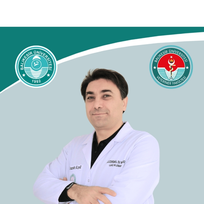 Nevzat SAAT