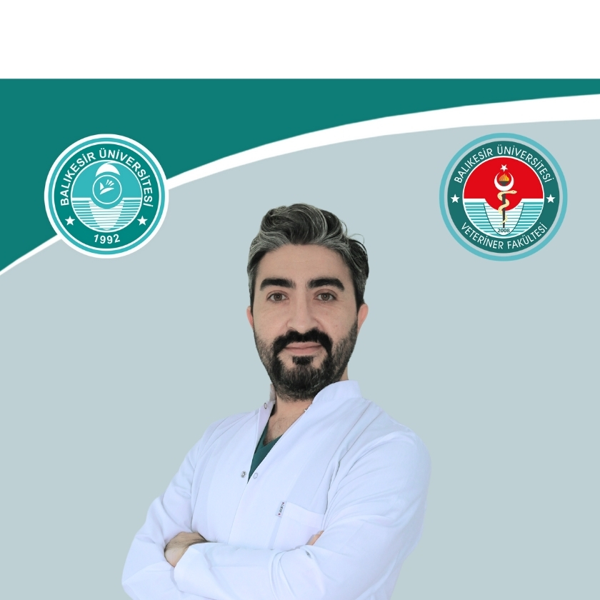 Eyüp Tolga AKYOL