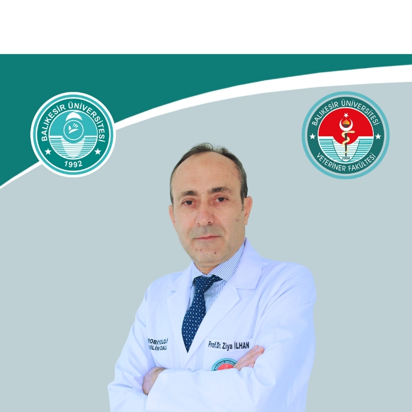 Ziya İLHAN
