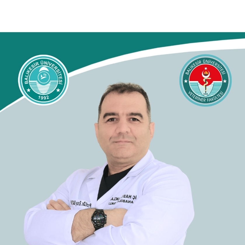 Ersoy BAYDAR