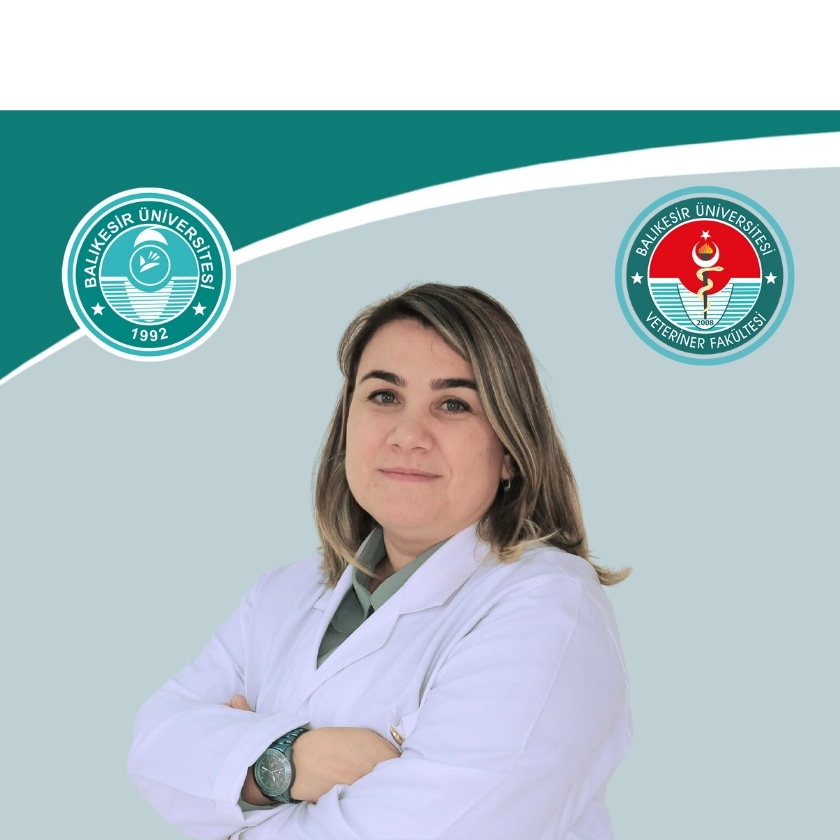 Zeynep KARAPINAR