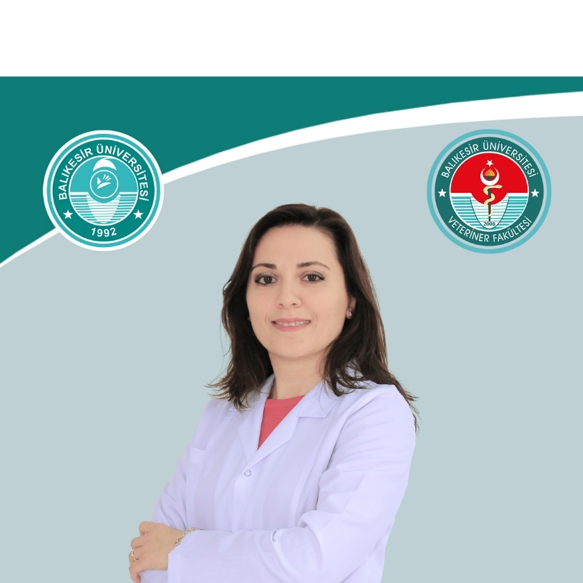 Ayşegül KARAAHMETOĞLU ÇOBAN
