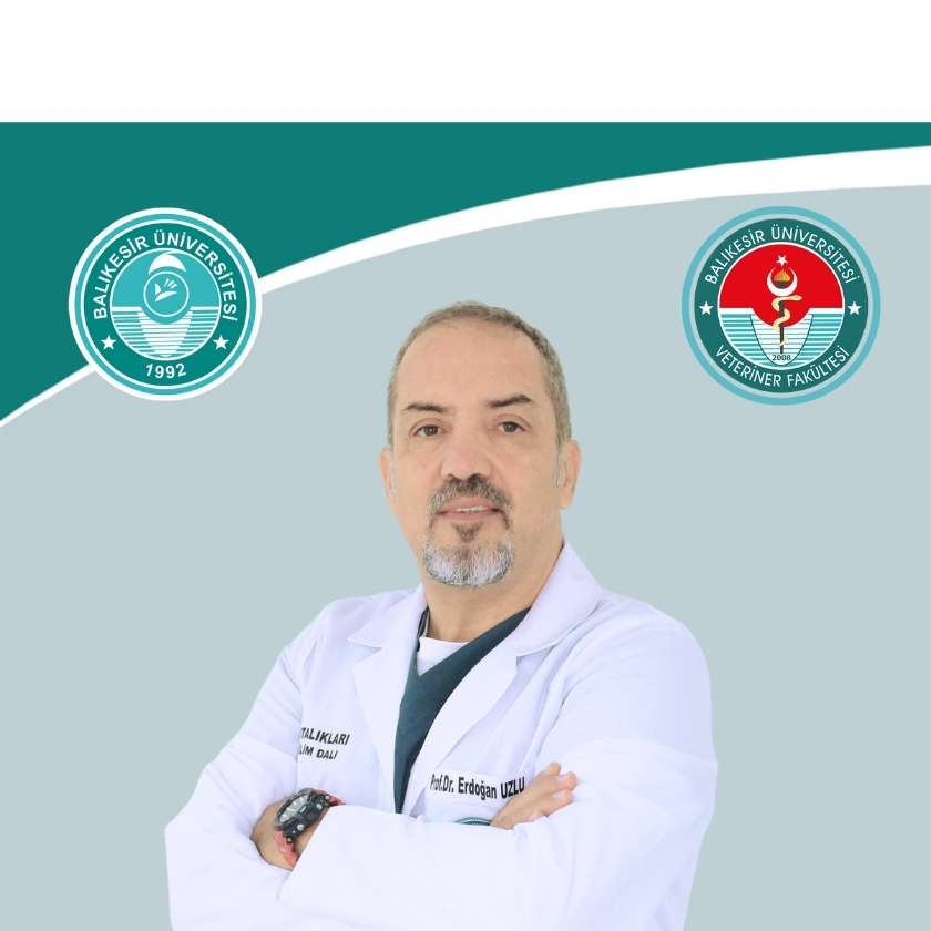 Erdoğan UZLU