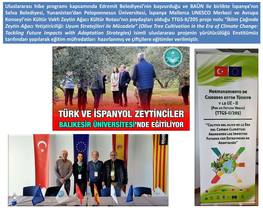 İklim Çağında Zeytin Ağacı Yetiştiriciliği Projesi