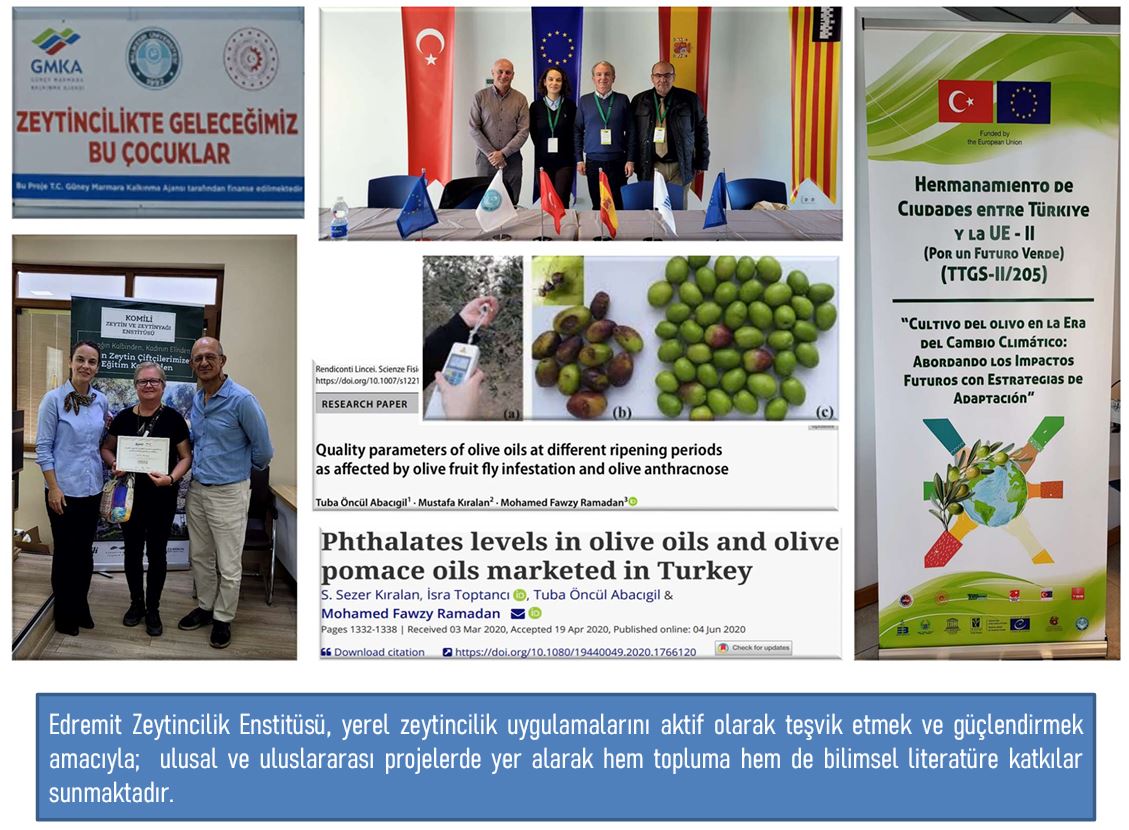 Ulusal ve Uluslararası Proje Katkıları